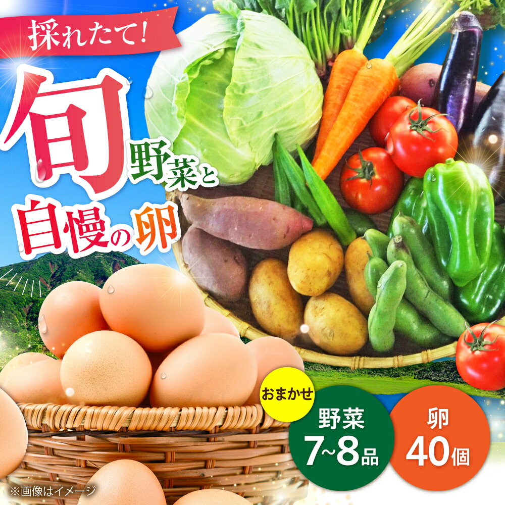 【ふるさと納税】【数量限定】新鮮 卵 と 旬の 野菜 セット (野菜7-8品程度＋40個) ／ たまご 生卵 タマゴ 詰合せ セット 熊本県 特産品 【有限会社さんふれあ】[BHAK002]