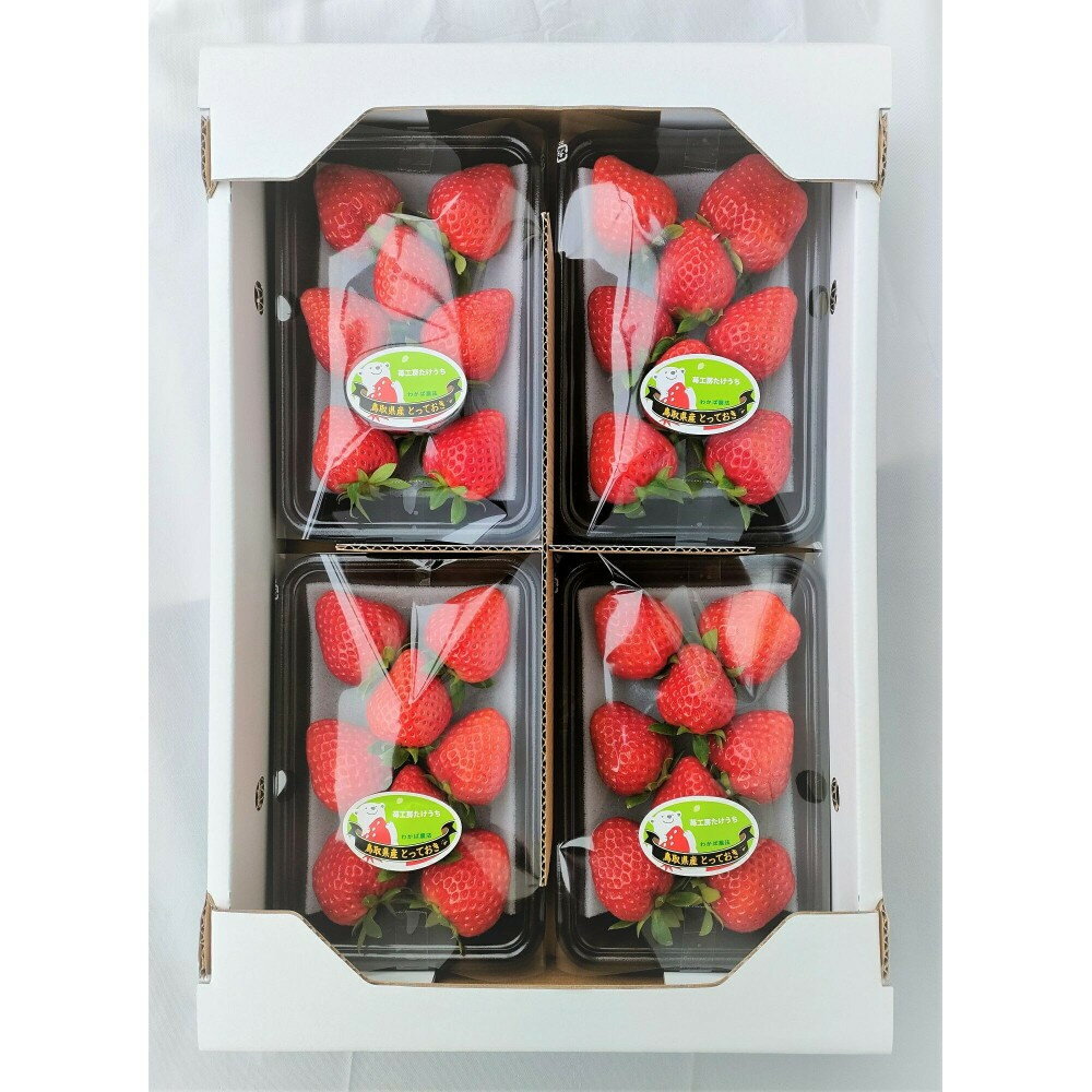 【ふるさと納税】鳥取県新ブランド苺「とっておき」4パック詰合せ【苺工房たけうち】