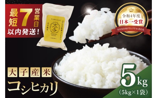 【最短7日発送】大子産米 コシヒカリ（精米）5kg|茨城県 大子町 こしひかり 白米 新米 令和7年産 食味値 コンテスト（AV049）