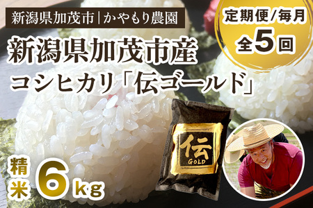 【令和7年産新米】【定期便5回毎月お届け】新潟産コシヒカリ「伝ゴールド」白米真空パック 精米 6kg（1.5kg×4）《9月下旬から順次出荷》 南麻布の高級料亭で提供される極上米 かやもり農園 