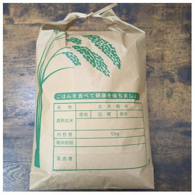 ふるさと納税 養老町 岐阜県産ハツシモ精米計5kg