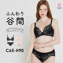 【ふるさと納税】タニマドンナ　ブラ＆ショーツセット　C65-H90 | 育乳 育乳ブラ ブラジャー バストアップ 脇肉胸 寄せ 上げ 大きいサイズ 補正ブラ 谷間 脇高ブラ