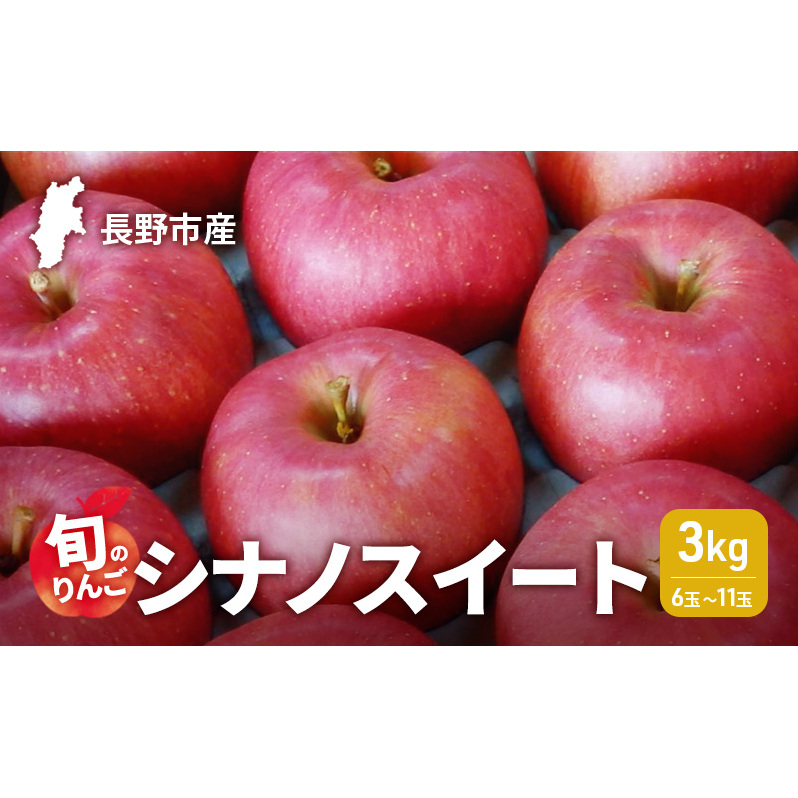 2026年発送　長野市産　旬のりんご　シナノスイート3kg　6玉～11玉 りんご リンゴ 果物 フルーツ 秋