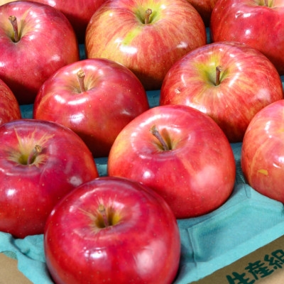 
                  ＜2026年9月発送予定＞平均糖度12度以上! 葉とらずサンつがる 約3kg 訳あり クール便【1606565】
                