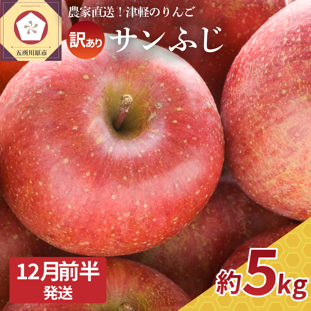 【2025年12月前半発送】 訳あり  りんご サンふじ 約 5kg 青森  果物  【 訳アリ リンゴ 林檎 ふじ さんふじ 】