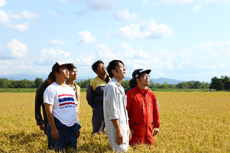 ナナプラザ　2023年産　特別栽培米ゆめぴりか　５㎏