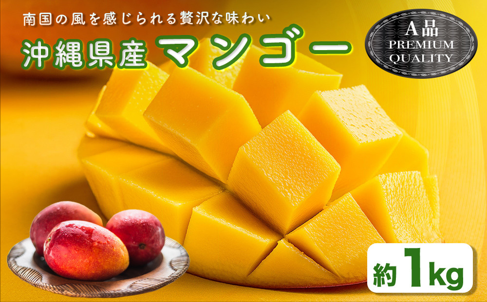 
                  ハナトフルーツ 沖縄県産マンゴーA品 １ｋｇ  【 先行予約 2026年発送 】
                