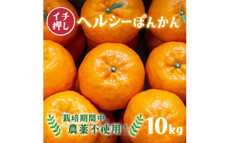F139【先行予約】ヘルシーぽんかん10kg　柑橘　ジューシー