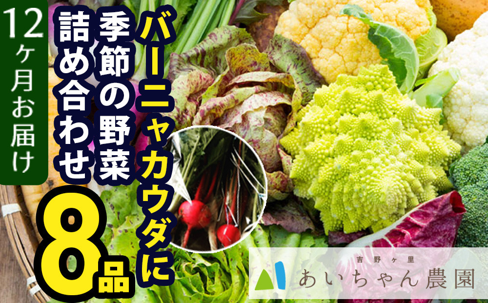 
            【定期便】全12回 バーニャカウダ用 季節の野菜詰め合わせセット8品 
          