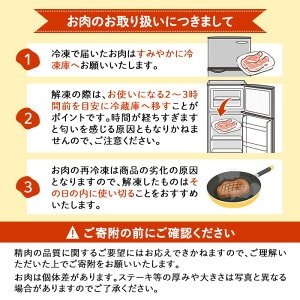 小分けで便利！鹿児島県産若鶏ムネ切身 計1.5kg(250g×6P) 鶏肉 とり肉 鳥肉 鶏ムネ肉 若鶏 小分け 真空 真空パック 保存 カット カット済 唐揚げ 煮物 鍋 おかず お弁当 p9-04
