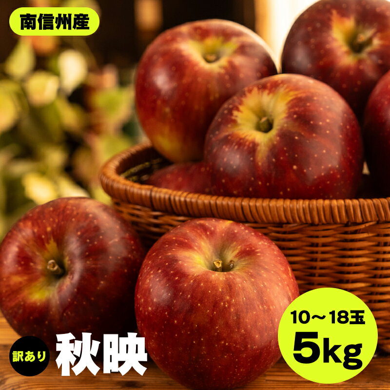 【ふるさと納税】 南信州産 秋映 訳あり 約5kg 10～18玉 JAみなみ信州DMセンター飯田市 | 秋映 りんご 林檎 アップル 千秋 つがる 果物 フルーツ 南信州 送料無料 ふるさと納税 長野県 飯田市 K14
