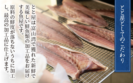 訳あり 塩ぶり  [A-024012] 切り身 天然ブリ 雑煮 おせち 下味冷凍 長期保存 おかず お弁当 1人暮らし 岩塩 塩焼き ギフト お祝い 出世魚 滑川市 富山県 とと屋