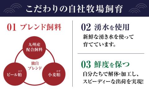 赤身 馬刺し 食べ比べ セット 約420g【有限会社 九州食肉産業】 純国産 希少 山鹿 ヘルシー 低カロリー [ZDQ010]