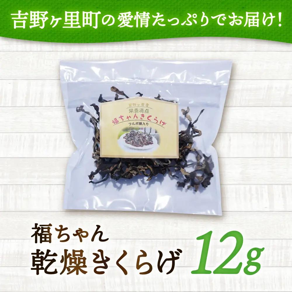 乾燥きくらげ 12g きくらげ キクラゲ[FDS001]