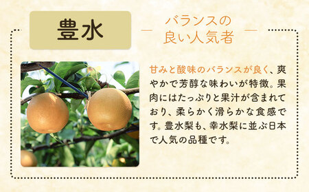 梨 豊水 10kg 矢畑むらづくり組合《8月下旬-9月中旬に出荷予定》 【栃木県共通返礼品　栃木県産】【配送不可地域あり】(離島)梨梨梨
