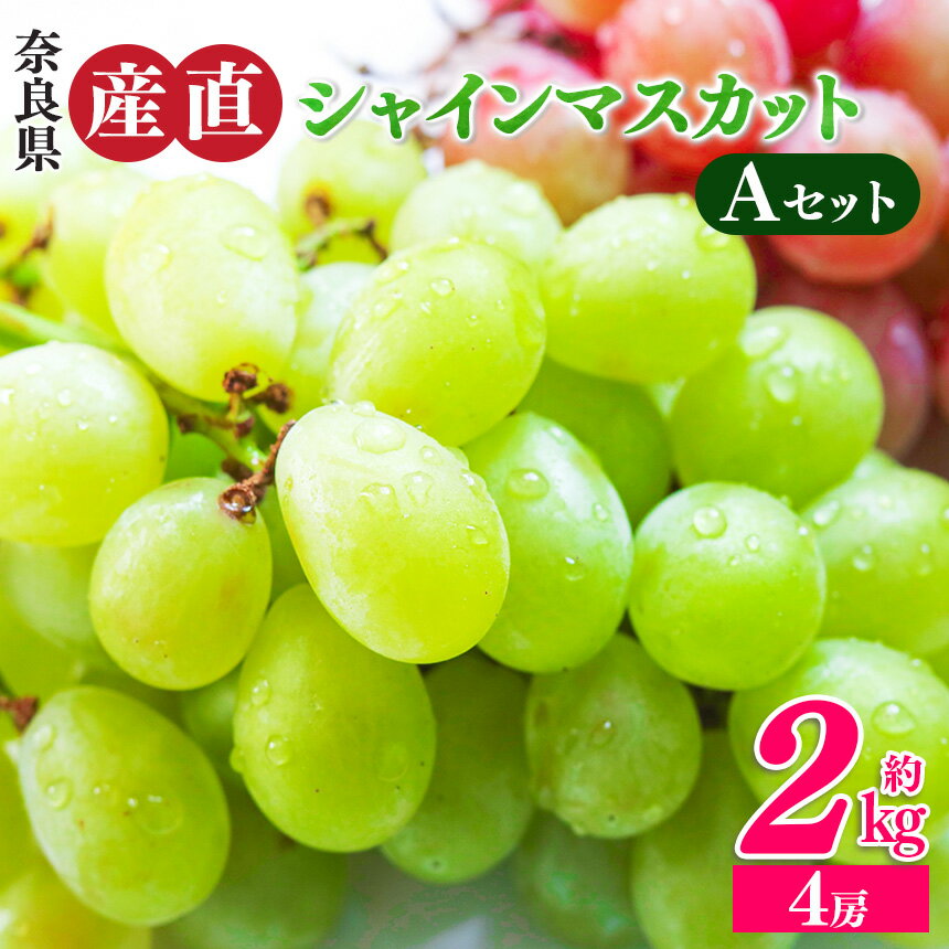 【ふるさと納税】シャインマスカットと季節のぶどう セットA（4房入り）約2kg | フルーツ 果物 くだもの ぶどう 葡萄 ブドウ シャイン マスカット 奈良県 平群町 季節 セット