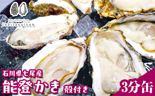 飛田水産　石川県七尾産　能登かき　殻付き3分缶｜牡蠣　専用ナイフ 牡蠣 かき カキ 能登の里山里海 石川県七尾市 能登半島　※要加熱 ※2027年1月～発送