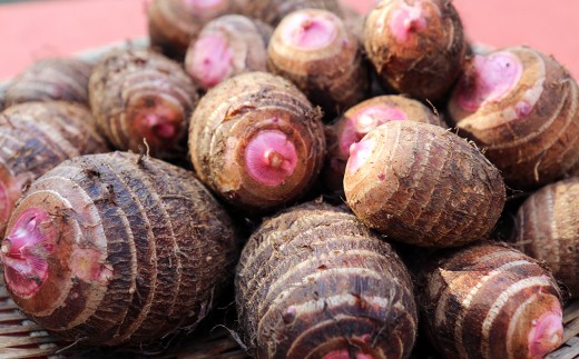 ほっくり美味しい♪化学合成農薬等不使用のサトイモ（赤芽）約3.5kg