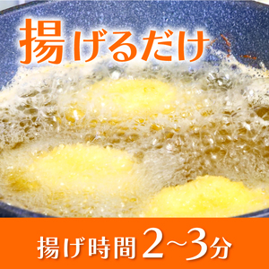 【 フライ 】 フライ鮮魚10切れ