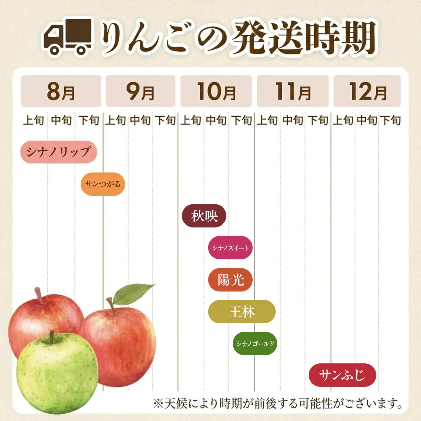 りんご シナノスイート 約5kg りんご 