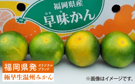 【9月中旬より発送】先行予約 福岡産ブランドみかん 早味かん 約4kg＜南国フルーツ株式会社＞那珂川市 みかん オレンジ ブランド フルーツ 果物 九州産 国産 [GCD024]22000 22000