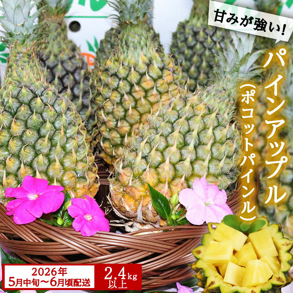 【ふるさと納税】 【先行予約　2026年5月中旬～6月頃配送】今帰仁産パインアップル（ポコットパイン）2.4kg以上