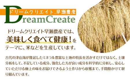 巨大胚芽米COCORO 玄米 約5kg【配送不可地域あり】 (離島) ドリームクリエイト早瀬農産 早瀬亨《2026年10月中旬-11月中旬頃出荷》 岡山県 浅口市 岡山県産 米 コメ こめ 玄米 送料