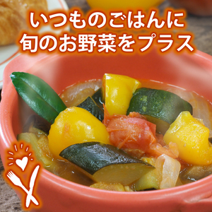 お野菜 6～7品 詰め合わせセット 富士山の湧水でつくる 四季の美味しい 旬 野菜