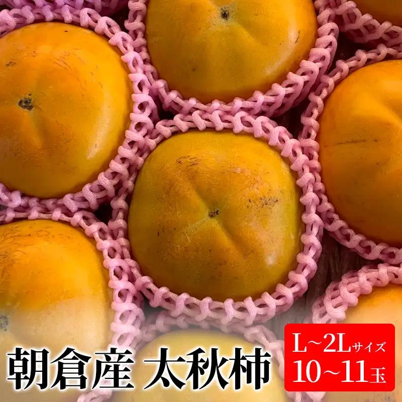 柿 太秋柿 L～2Lサイズ 10～11玉入 かき カキ 柿