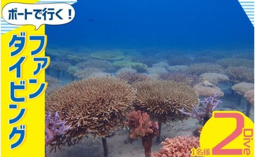 
ボートで行く！ファンダイビング（2Dive）
