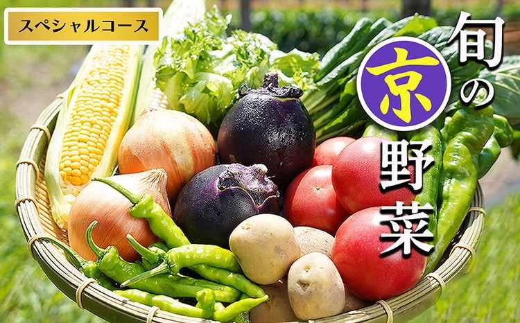 
                  野菜セット 7~10種類 旬の京野菜 スペシャルコース 詰め合わせ 季節 旬 野菜 やさい 野菜便 国産 国産野菜 新鮮 おまかせ 産地直送 春野菜 夏野菜 秋野菜 冬野菜 葉物 果菜 根菜 カット野菜 京都府産 亀岡市産 京丹波町産 季節の野菜 九条ネギ なす 唐辛子 サラダ トマト 京水菜 壬生菜 スナップエンドウ 聖護院大根 聖護院かぶら さといも つるむらさき 京都府 亀岡市 
                
