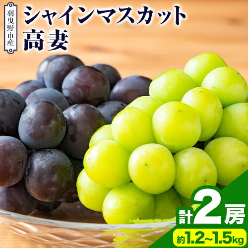 【ふるさと納税】【2026年先行予約】シャインマスカット＆高妻 2房セット 約1.2〜1.5kg 麻野農園 《2026年8月上旬-9月上旬頃出荷》 大阪府 羽曳野市 ぶどう 果物 フルーツ 葡萄 シャインマスカット 高妻 種なしぶどう
