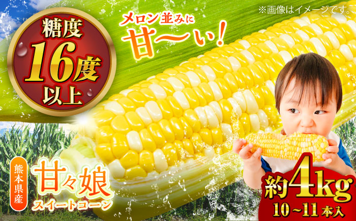 【先行予約】【2026年6月上旬より順次発送】スイートコーン(甘々娘) 約4kg（10〜11本）【なかむら農園】 [BHCJ001]