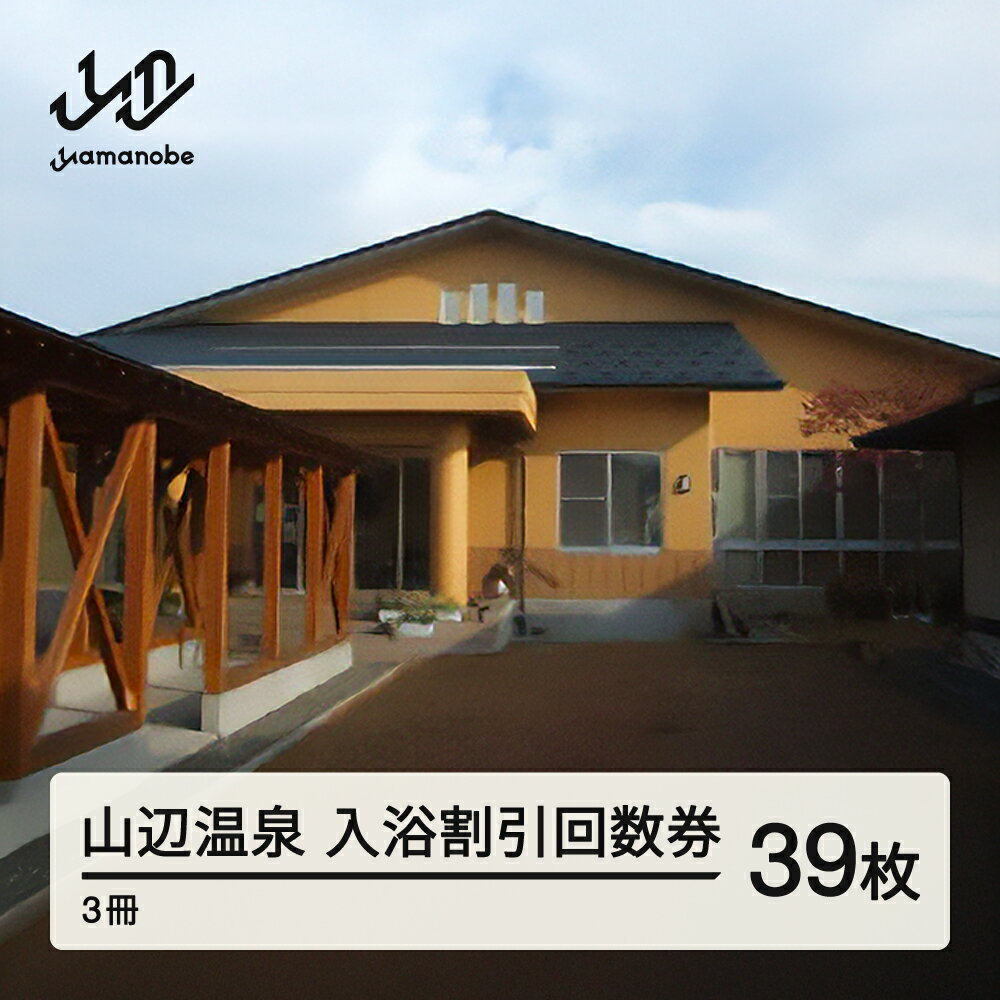 【ふるさと納税】山辺温泉保養センター 入浴割引回数券 3冊(39枚) 送料無料
