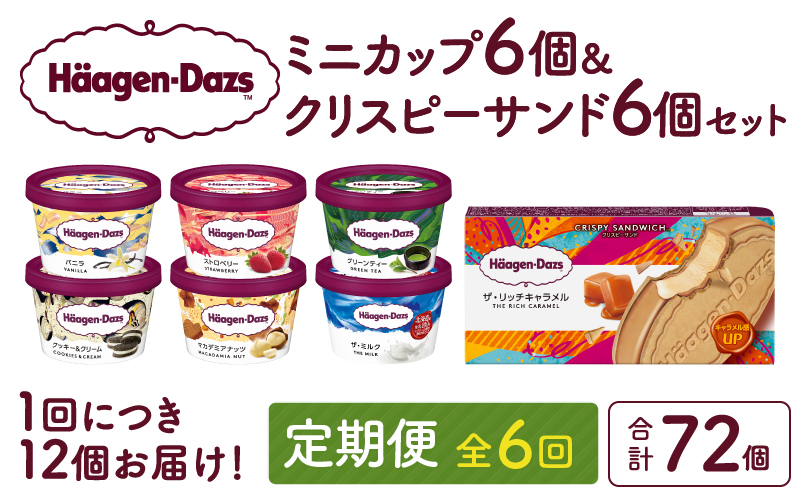 ＜全6回定期便・連続＞ハーゲンダッツ『ミニカップ＆クリスピーサンドセット(合計72個)』アイスクリーム アイス スイーツ デザート_H0016-138