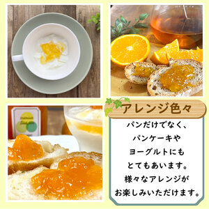 季節 の ジャム 詰め合わせ 無添加 旬 3種 セット 160g×3本 トースト ヨーグルト パン 朝食 贈答用 ギフト プレゼント