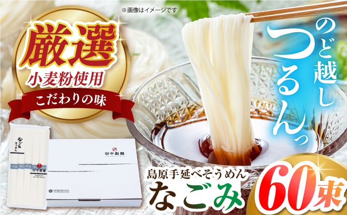 
島原手延べそうめん なごみ 50g×60束 3kg 上級品 ギフト 贈答におすすめ 長崎県/田中製麺 [42ACAF015]
