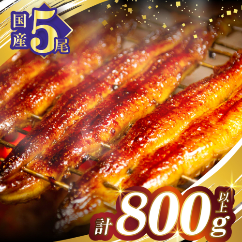 【2週間以内発送】うなぎ蒲焼5尾(さんしょう・たれ付き)計800g以上 鰻 魚 魚介 加工品 国産_T026-0036-2W