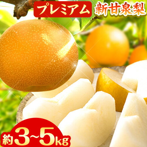 【ふるさと納税】【先行予約】なし 梨 プレミアム 新甘泉 選べる 約3kg (4～10玉) 約5kg (7～16玉) 高間商店《2025年8月下旬-10月上旬頃出荷》 鳥取県 八頭町 梨 なし ナシ 果物 フルーツ 厳選 先行予約 ふるさと納税 送料無料 甘い 果実 果汁 デザート 新甘泉梨 赤梨