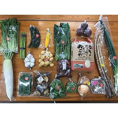 ふるさと納税 小国町 【阿蘇小国町】薬味野菜の里小国ふるさと野菜とお米(あきげしき)5kgの詰め合わせ |  | 03