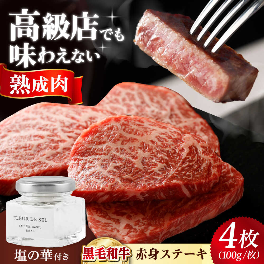 【ふるさと納税】熟成和牛ステーキ （赤身） 400g ステーキ 和牛ステーキ ローストビーフ BBQ バーベキュー 塩 塩の華 調味料 精肉 赤身 霜降り 霜降り肉 和牛 黒毛和牛 肉 牛肉 熟成 人気 おすすめ 贈答 ギフト 大阪府高槻市/株式会社MARBLANC[AOAS011]