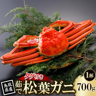 ふるさと納税 智頭町 【先行予約】鳥取県産 タグ付き 茹 松葉がに 700g×1杯(中村商店)2027年1月末より順次発送