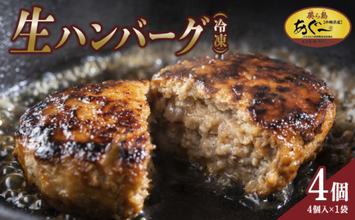 《あぐ～豚の旨みを凝縮》ハンバーグ 120g × 4個（480g）冷凍【美ら島あぐ～】   I  あぐー 豚 ハンバーグ 冷凍 120g 4個 国産 豚肉 惣菜   沖縄県 南城市 ふるさと納税 那覇ミート
