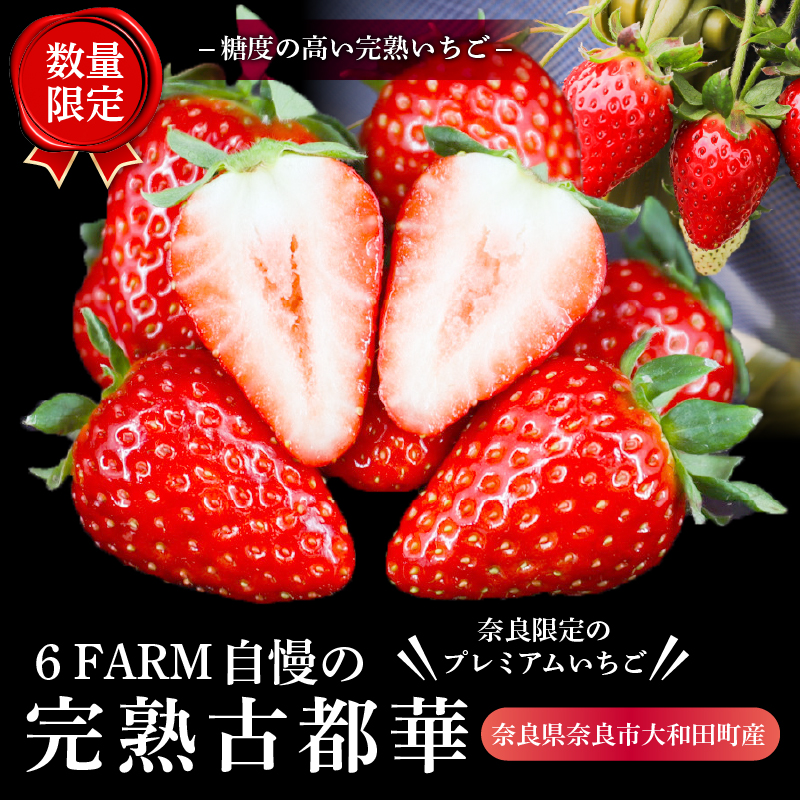 ★★2026年予約販売開始★★【2026年（令和8年）1月～発送】  「6FARMの 古都華いちご大粒サイズ」 限定出荷 〈6FARM〉 いちご 苺 奈良ブランド苺 イチゴ ブランド 古都華 大粒 奈