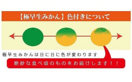 【2026年10月中旬頃から順次発送】【温州みかん】 極早生 優品・家庭用 約5kg | 愛媛 【温州みかん】 【KK0501】