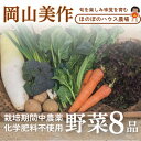 【ふるさと納税】【畑から直送】岡山美作産　旬を楽しみ味覚を育む野菜約8種(約5kg)【配送不可地域：離島】【1524200】