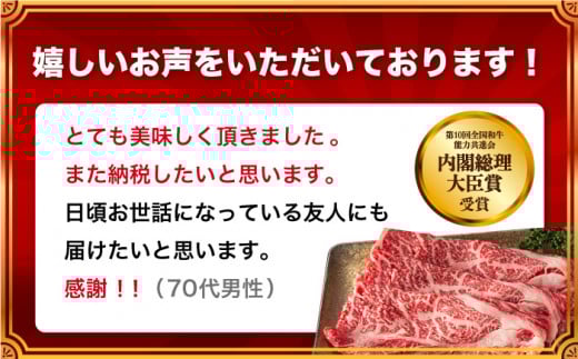 長崎和牛 約500g スライス 肉 (焼肉用) 冷凍 /長崎県産和牛 牛肉 国産牛【川下精肉店】 [OAA001]