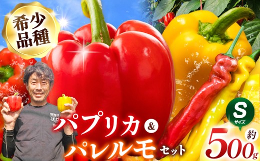 【先行受付：2026年発送】パプリカ＆パレルモ(希少品種)　Sセット　約500g | パプリカ パレルモ 野菜 希少 ジューシー フレッシュ ヘルシー ふるさと納税 信州 長野県 松本市
