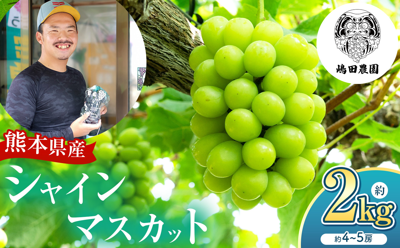 
            【 先行予約 】シャインマスカット 約2kg 和水町産 | 熊本県 熊本 和水町 くまもと なごみまち なごみ ぶどう ブドウ 葡萄 シャイン マスカット 果物 季節限定 フルーツ 季節の果物 朝摘み 直送
          