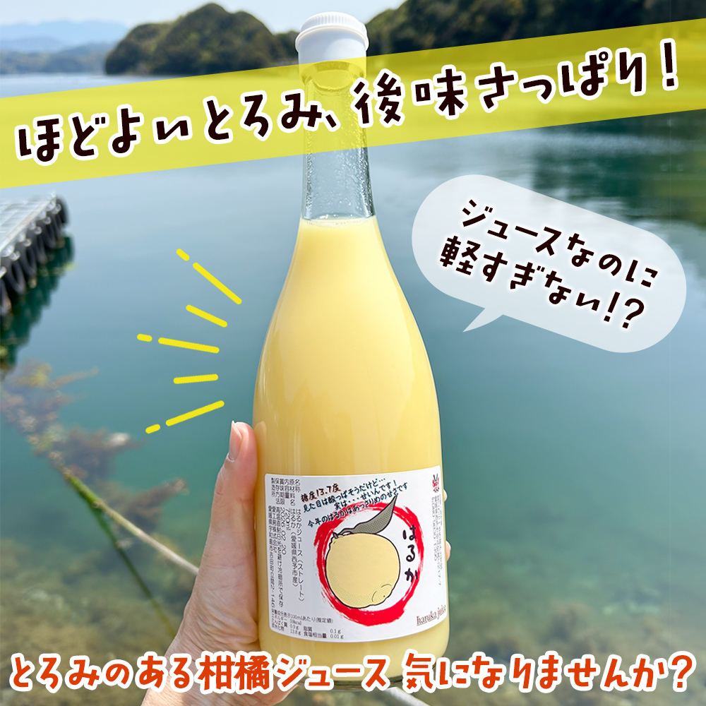 ＜はるかジュース 720ml×2本セット＞ 愛媛 果汁 100% はるか ジュース ストレート みかん じゅーす 100%ジュース セット 柑橘 果物 フルーツ 飲料 オレンジ 特産品 渡江から一歩を